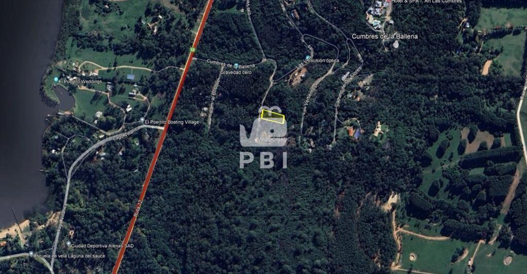 Terreno en Las Cumbres, Punta Ballena - Ref : PBI13301