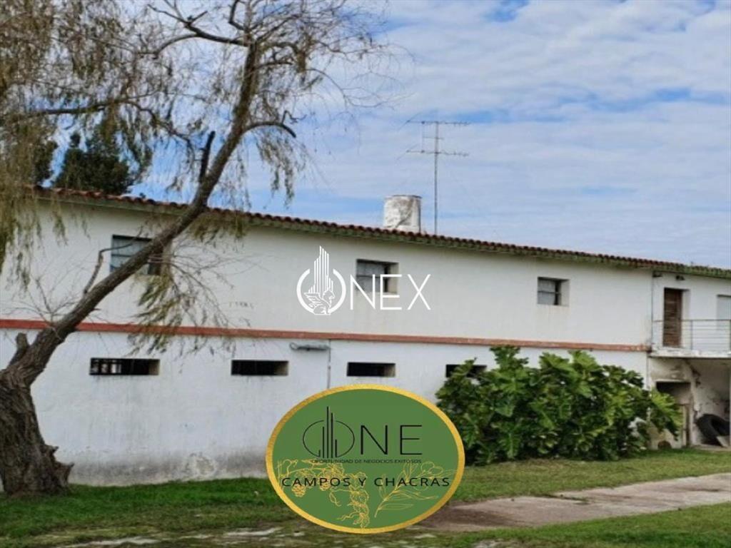 SE VENDE CAMPO AGRICOLA GANADERO EN SAN RAMÓN