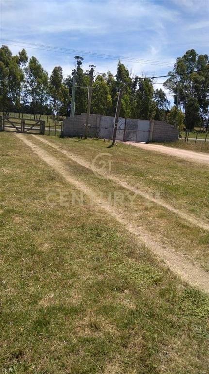 INVERSION VENTA CAMPO 3 HECTÁREAS con galpón-próx Interba...