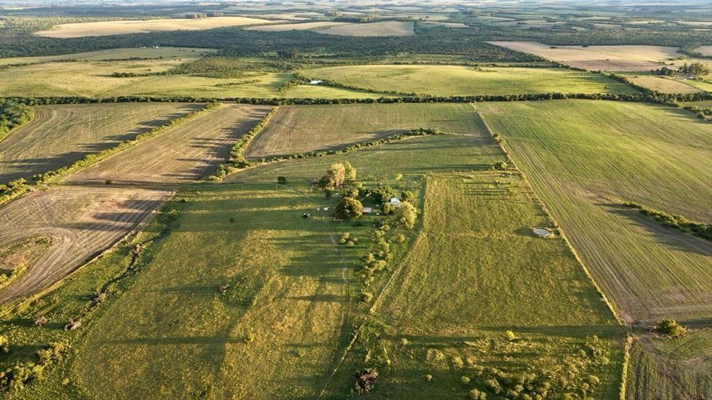 CAMPO 180 HAS. AGRICOLA GANADERO PAYSANDU