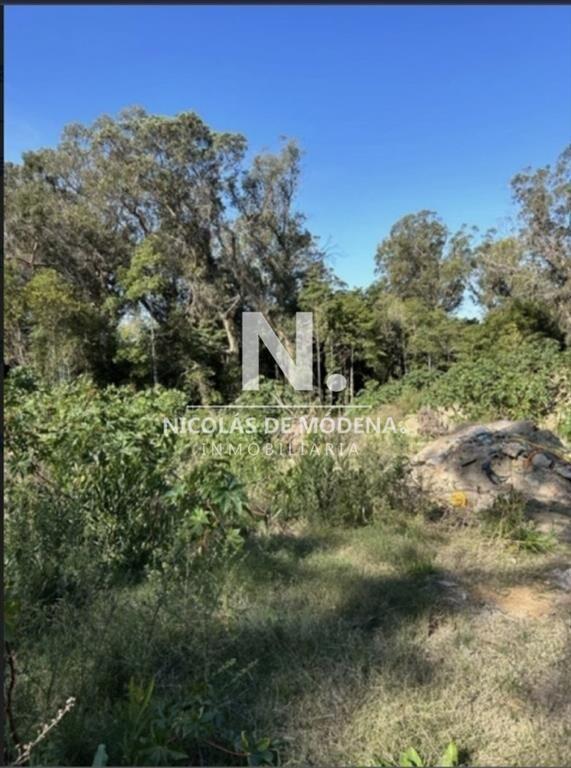 En venta lote de 1130m2 en Grutas, Punta Ballena