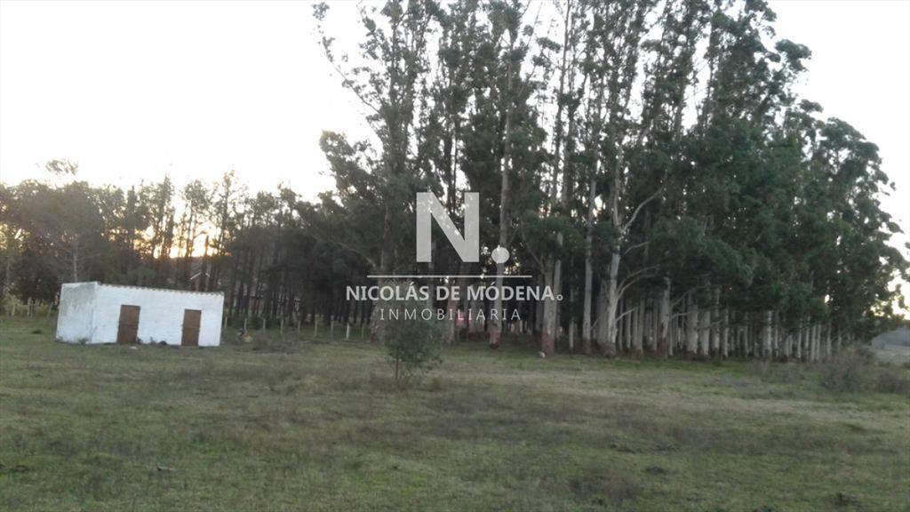 Campo próximo a ruta 12
