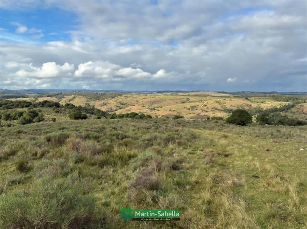 Campo en Venta - Lavalleja