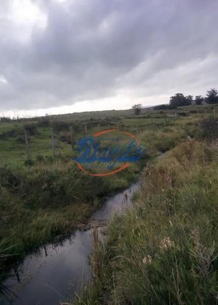 Chacra / Campo Venta en Punta del Este