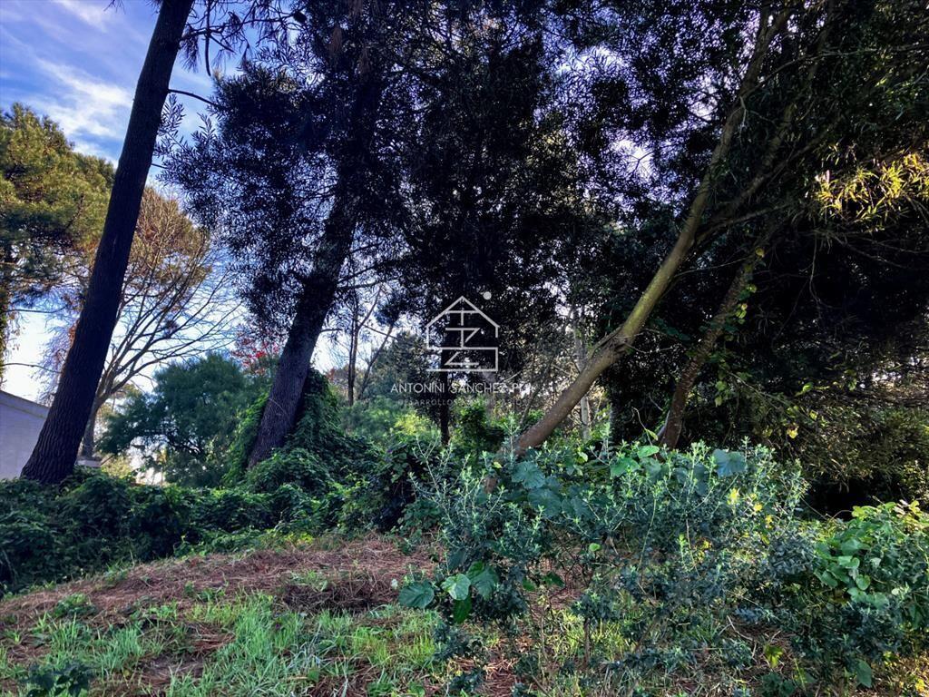 Lindo lote en venta en Pinares apto para