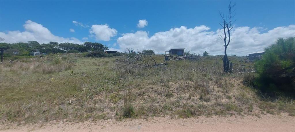 TERRENO EN VENTA EN SANTA ISABEL DE LA PEDRERA
