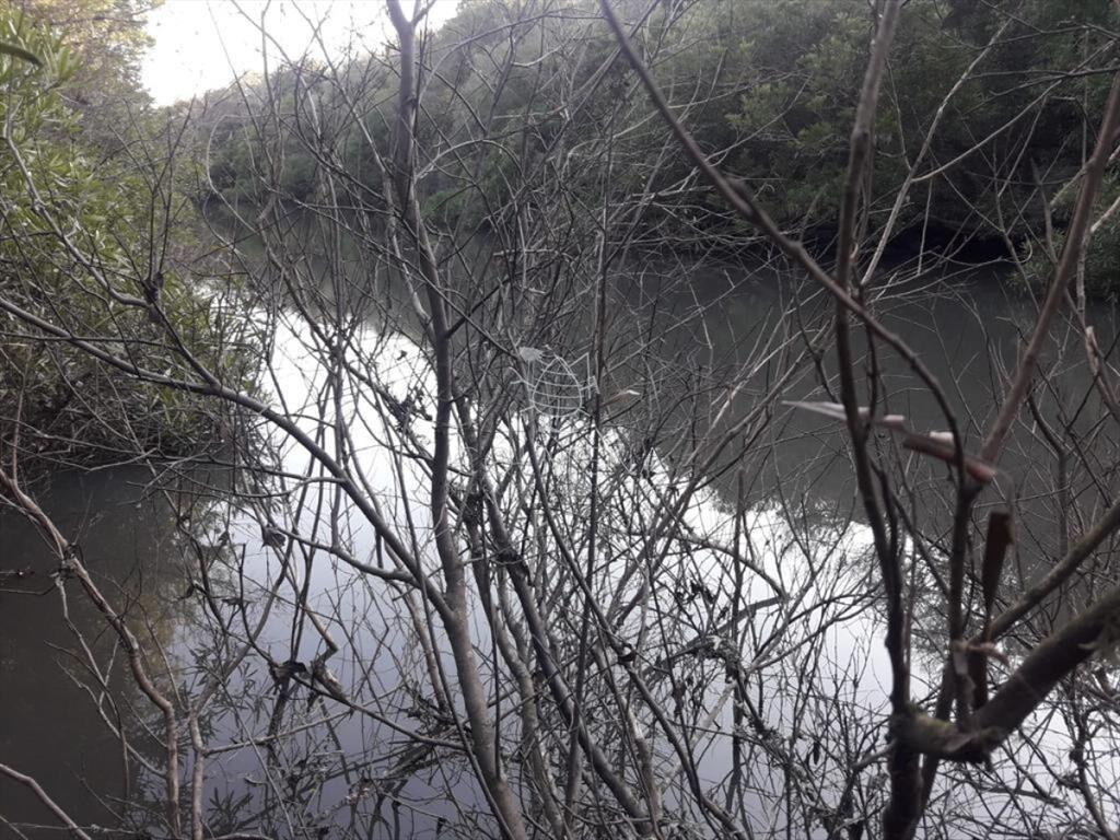 Campo de 66 has con 1991 m2 - En Corte la Leña -