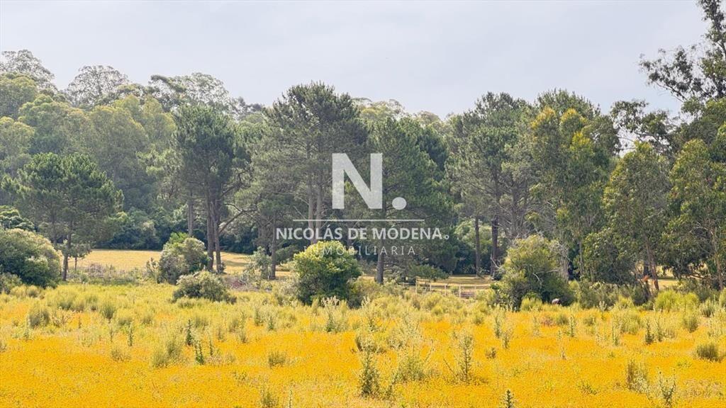 Campo de 5 has con 4658 m2 en La Pataia