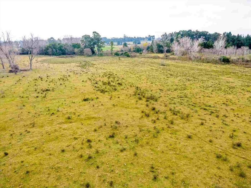 Venta de campo 3Ha. en Rincon de Pando, Canelones