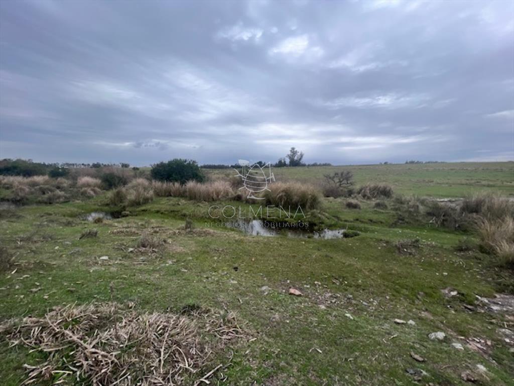 Campo de 22 has 6862 m2 cerca de Punta del Este