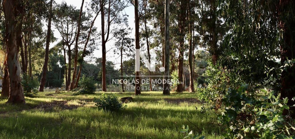 Terreno en barrio privado Reserva Montoya 500 mts