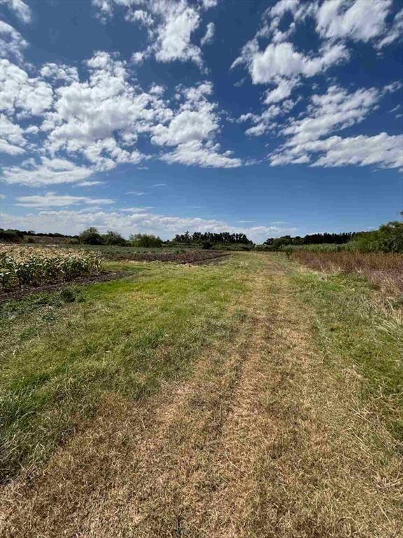 VENTA DE CHACRA DE 11 HECTÁREAS ZONA PAJAS BLANCAS