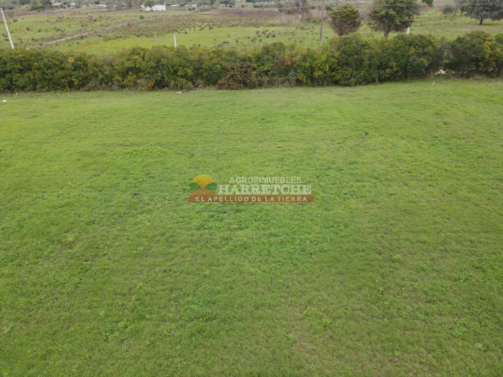 Terreno en Progreso, 360 m2 en Jardín de los (5)