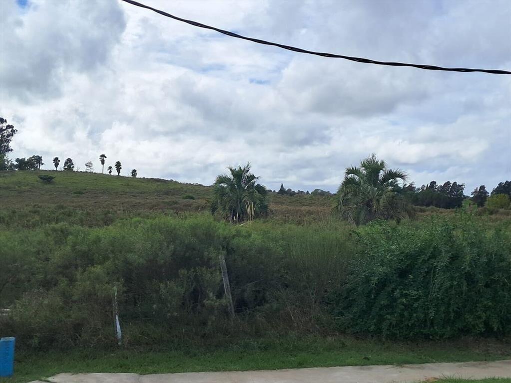 Chacra sobre Ruta 5, Progreso, km 28
