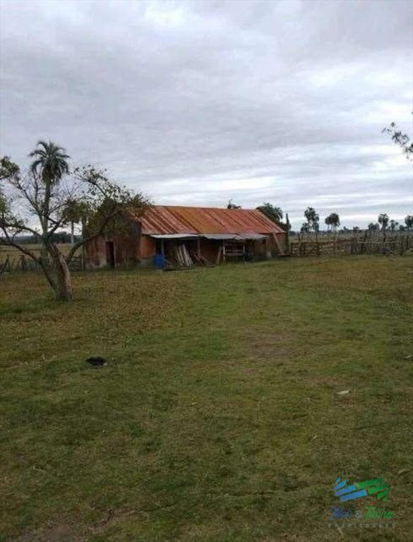 Buen campo ganadero con muy buen acceso sobre