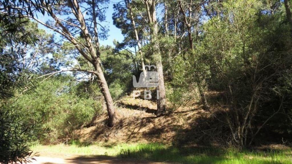 Terreno en venta Club Del Lago - Ref : PBI1151