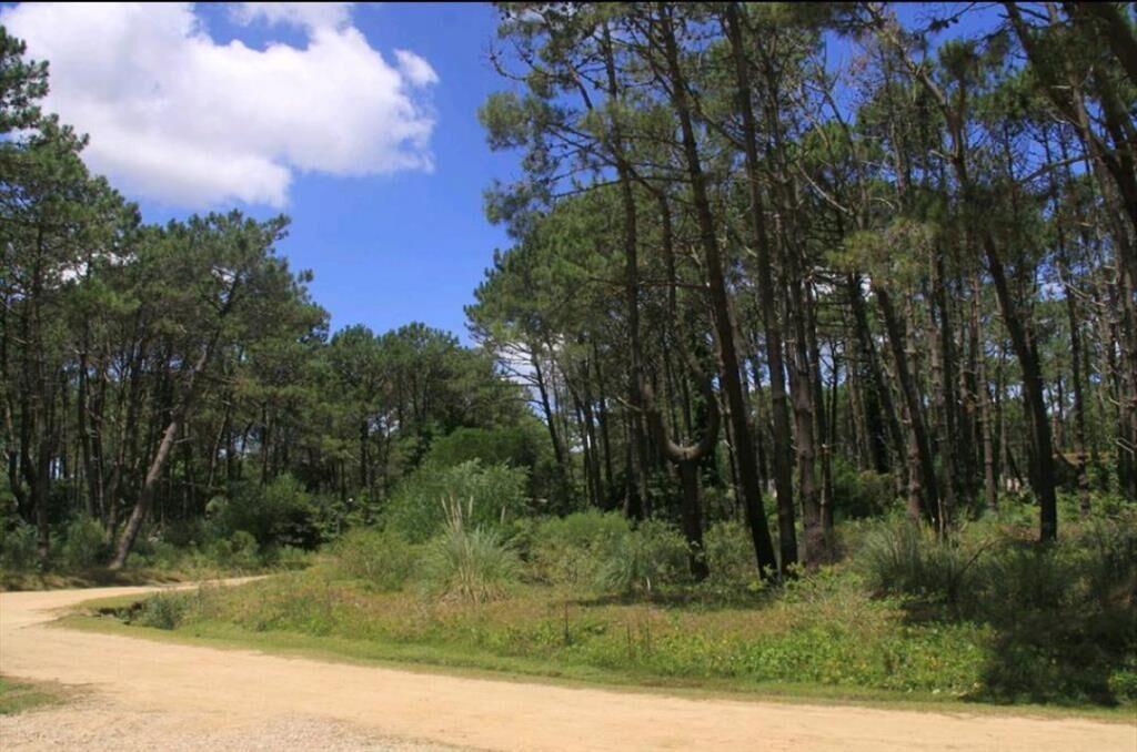 VENTA DE LOTE EN BARRIO PRIVADO LAGUNA BLANCA LA BARRA