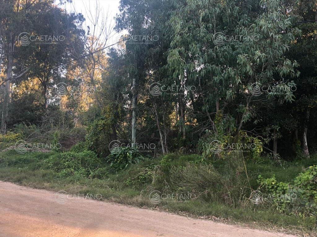 Oportunidad terreno La Barra