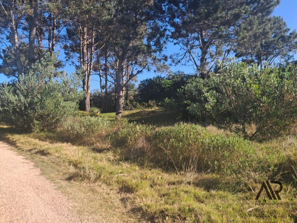 Terreno en venta en Punta del Diablo - Inversion