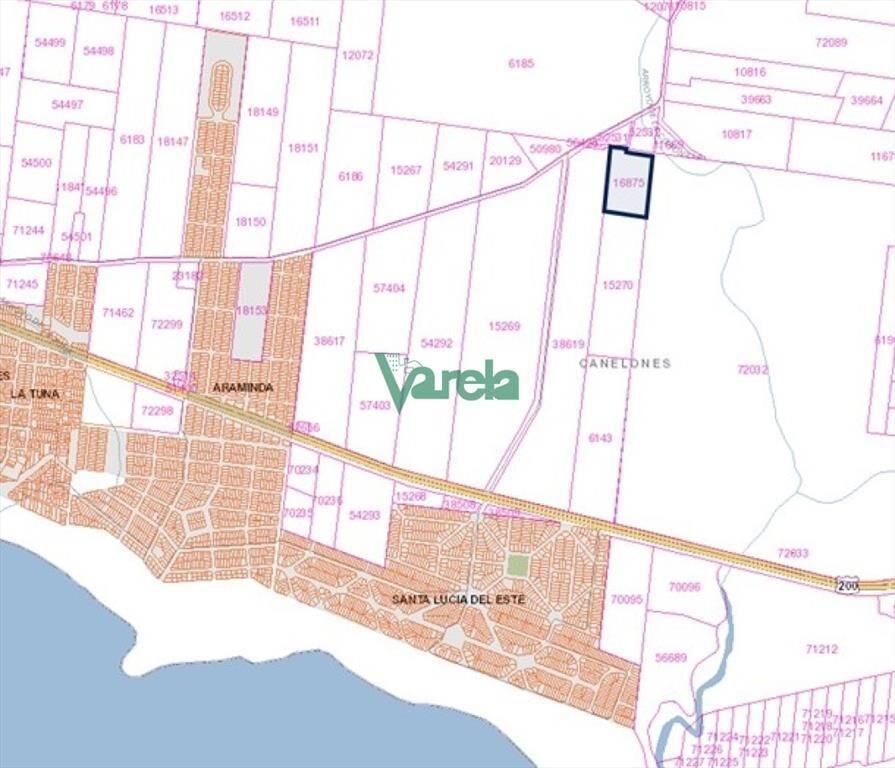 Venta de Chacra de 6 hectareas en Santa Lucia del