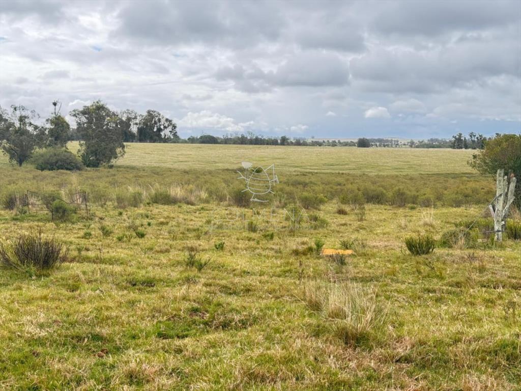 Campo en Garzón