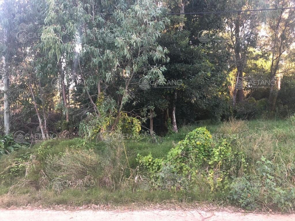Oportunidad terreno La Barra