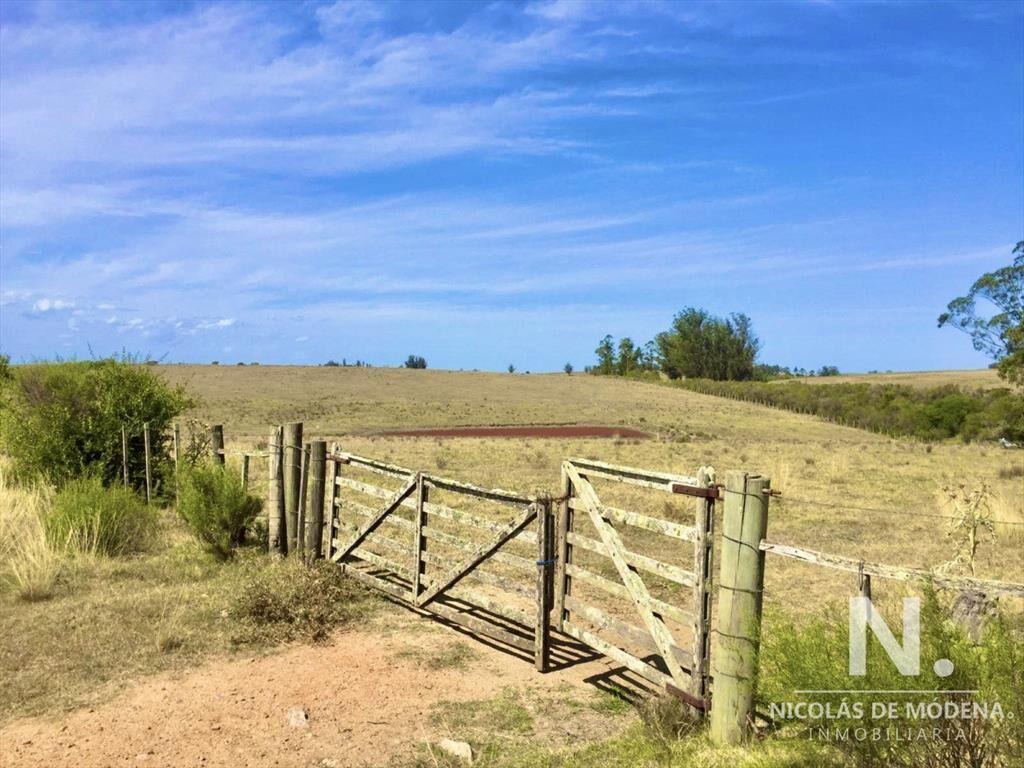 Campo productivo en zona José Ignacio