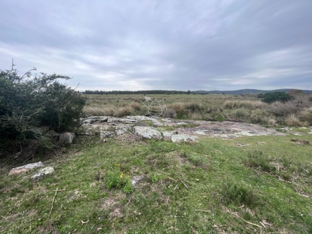 Campo de 22 has 6862 m2 cerca de Punta del Este