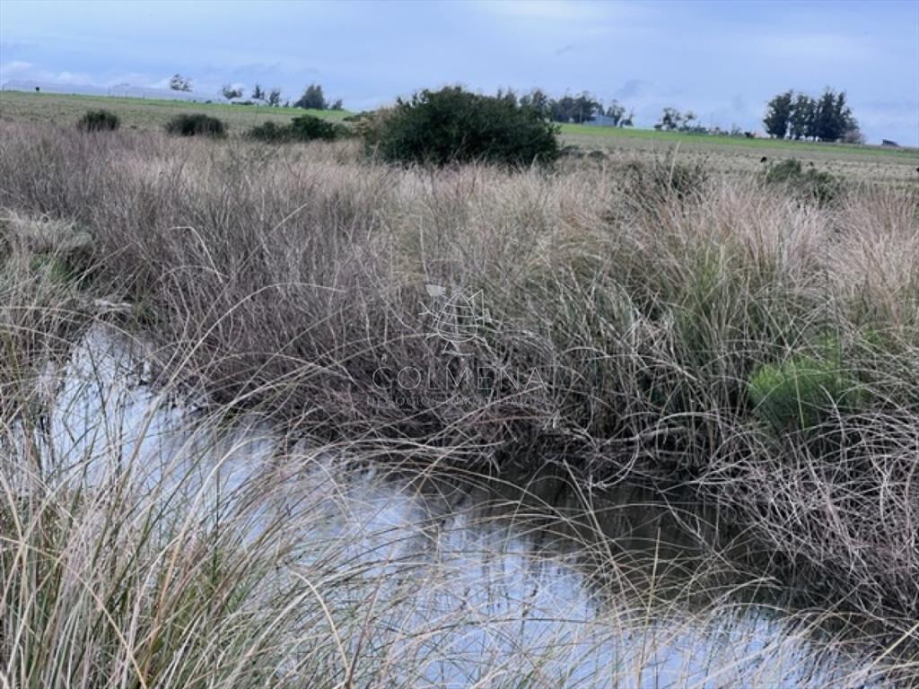 Campo de 22 has 6862 m2 cerca de Punta del Este