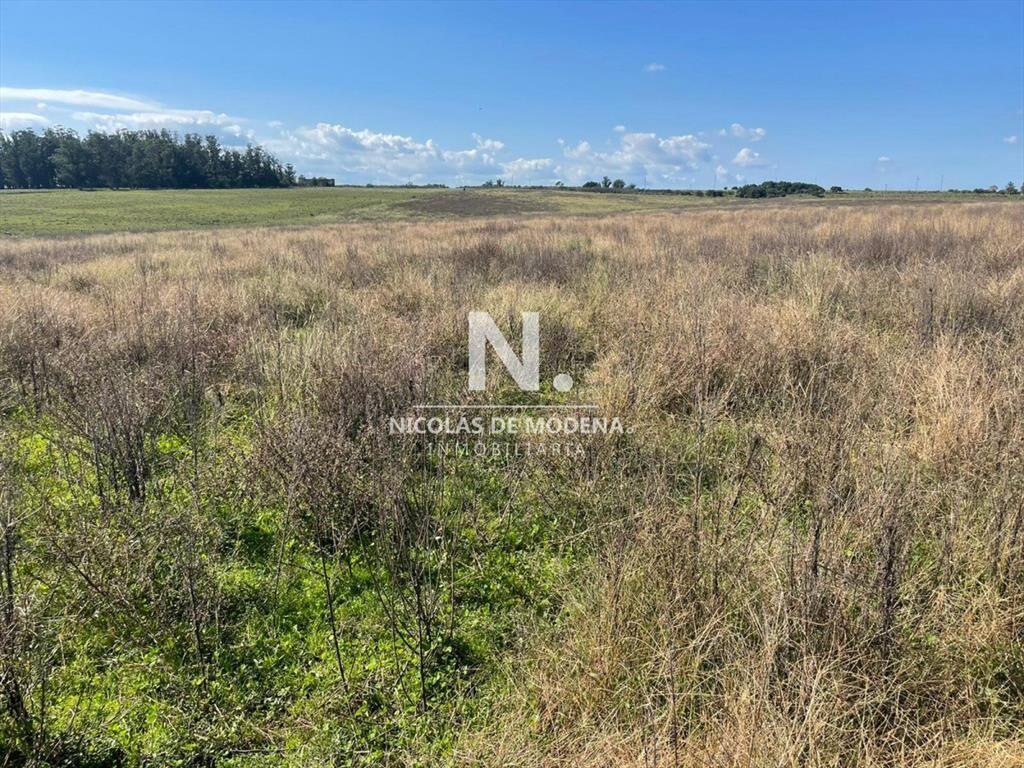 Campo en venta en hermosa zona