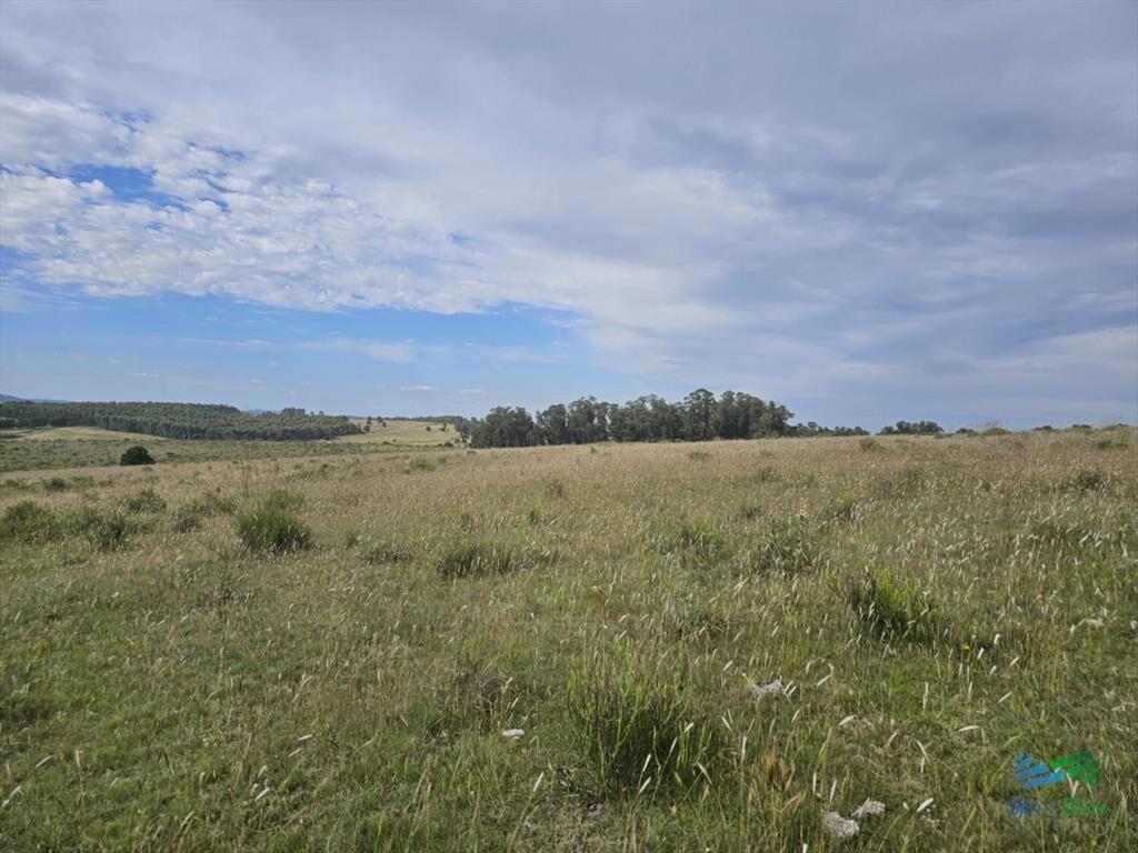 En venta chacra 3 hectareas, proxima ruta 39, a