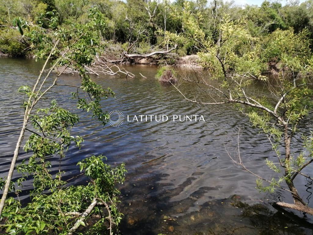 Campo de 22 has próximo a San Carlos y Punta del