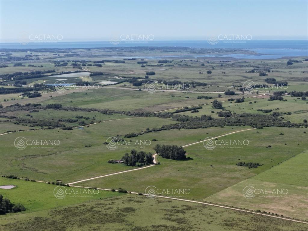 Chacras de 3 hectareas Ama Jose Ignacio , desde