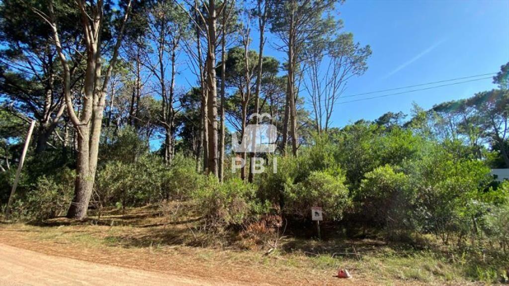 Terreno en venta Club Del Lago  - Ref : PBI1387