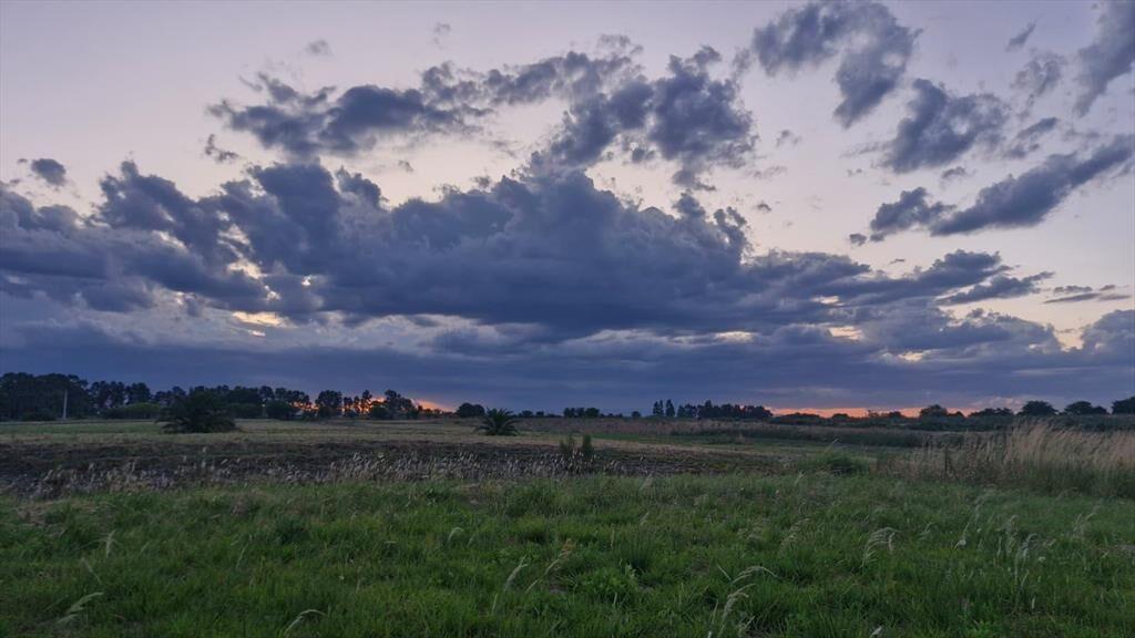 Terreno en Nueva Helvecia