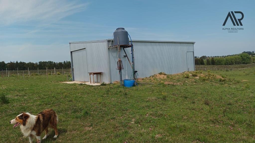 Chacra en venta de 10ha ubicado en San Carlos
