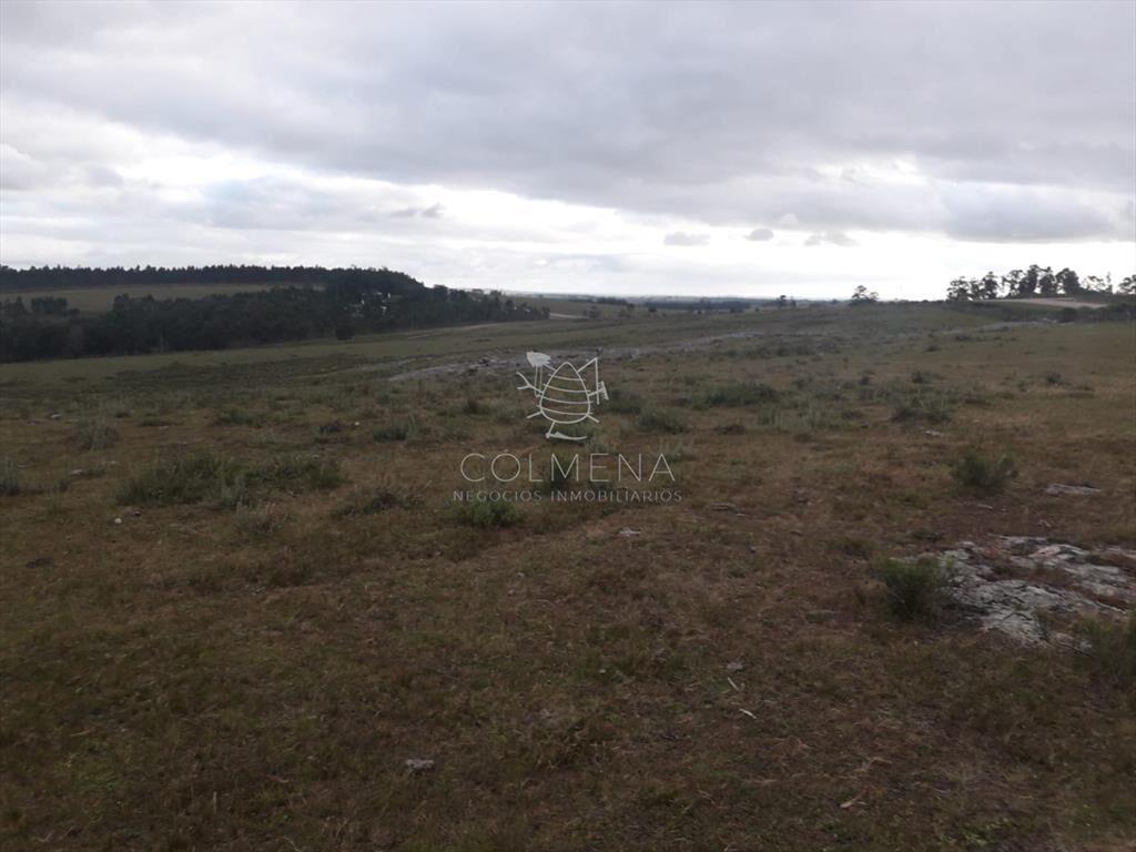 Campo de 47 has en Paraje los Caracoles - !!!!!
