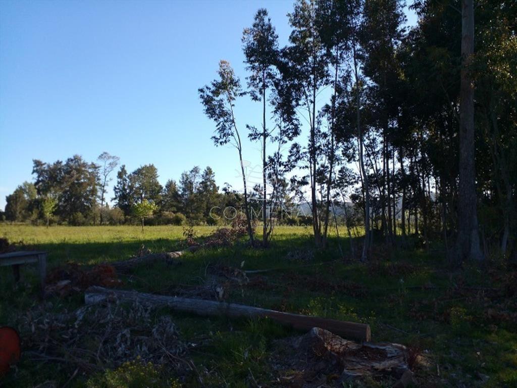 Chacra en La Pataia