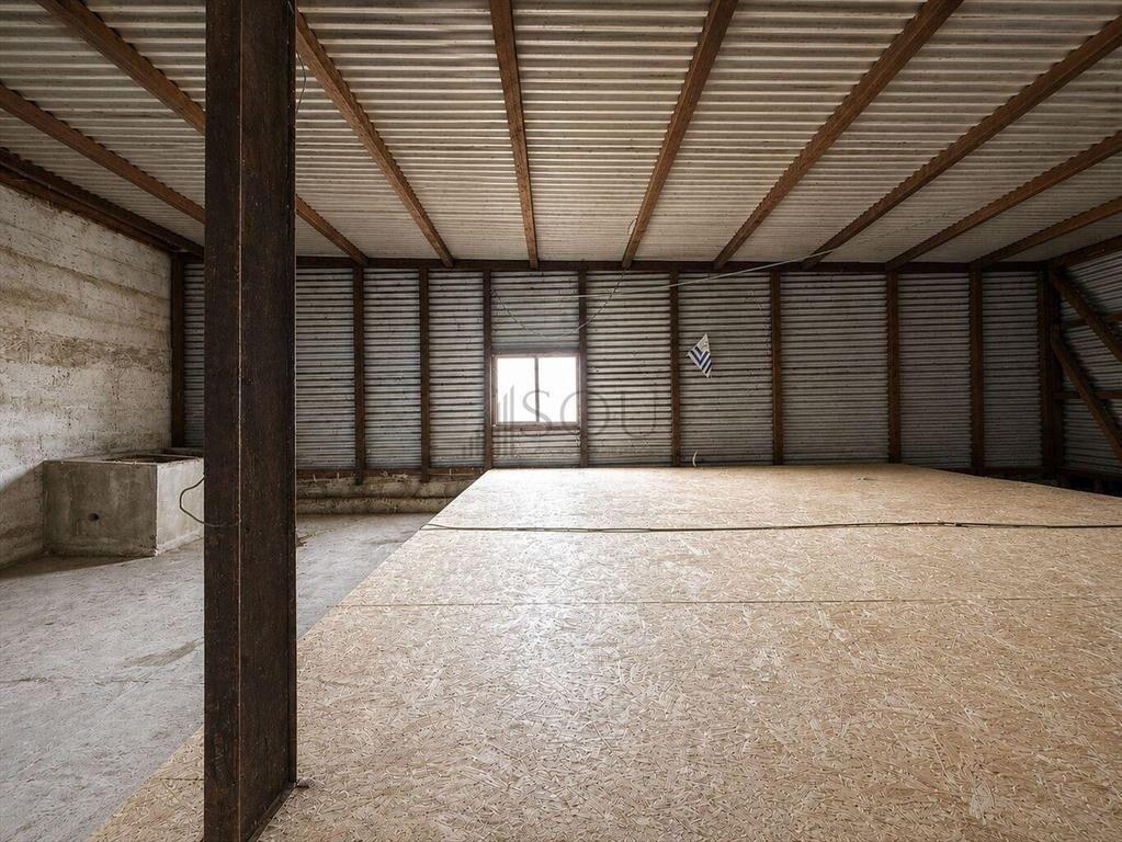 Venta local comercial para reciclar en Aguada