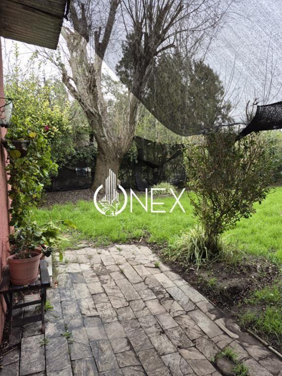Se vende Casa a reciclar en Pinar Norte