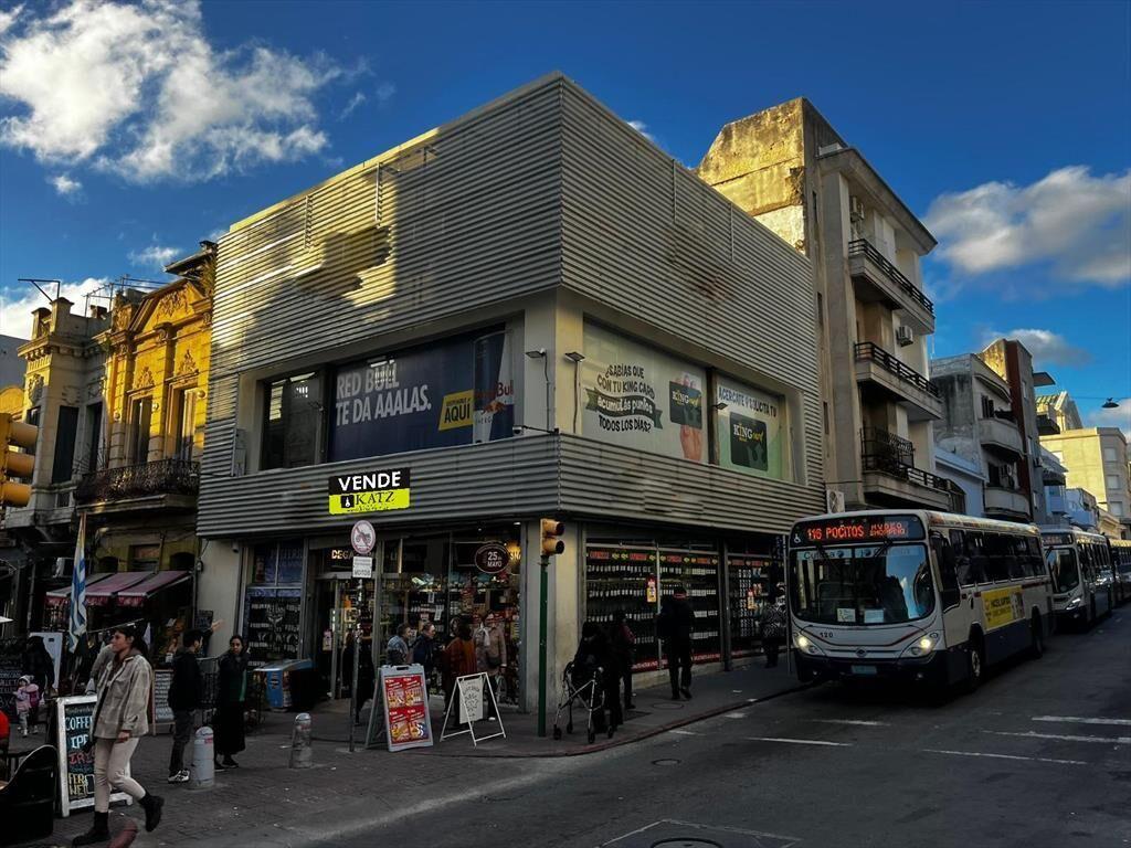 Perez Castellano y Cerrito, 390 m2, con renta !!