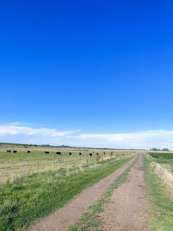 Venta de campo agricola ganadero en Young Rio Negro