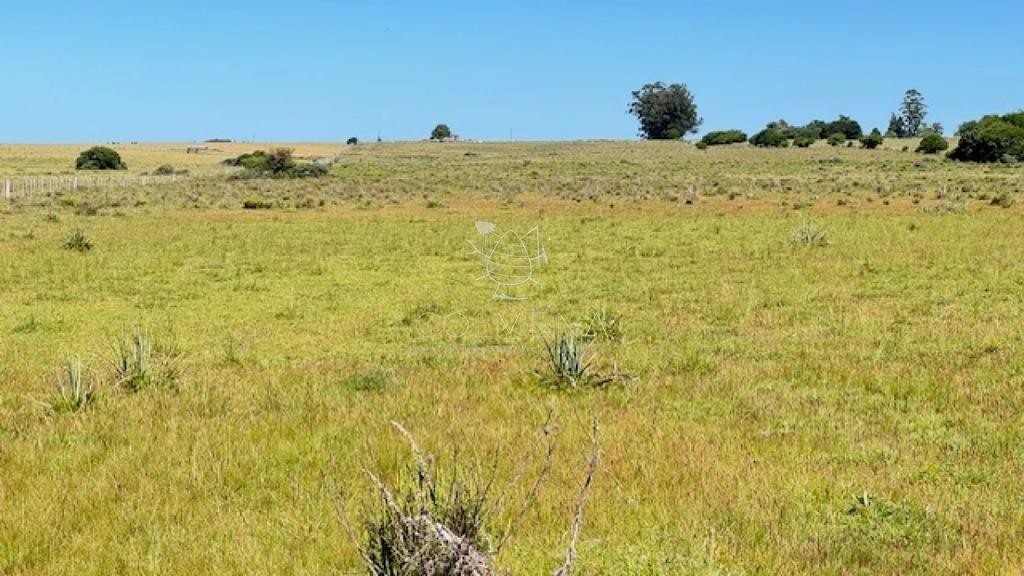 Se venden 2 chacras a 15 km de San Carlos