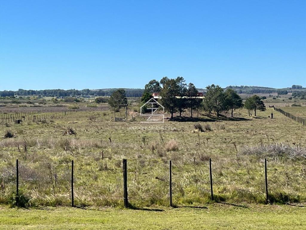 VENTA CHACRA 40 HECTAREAS RUTA 39