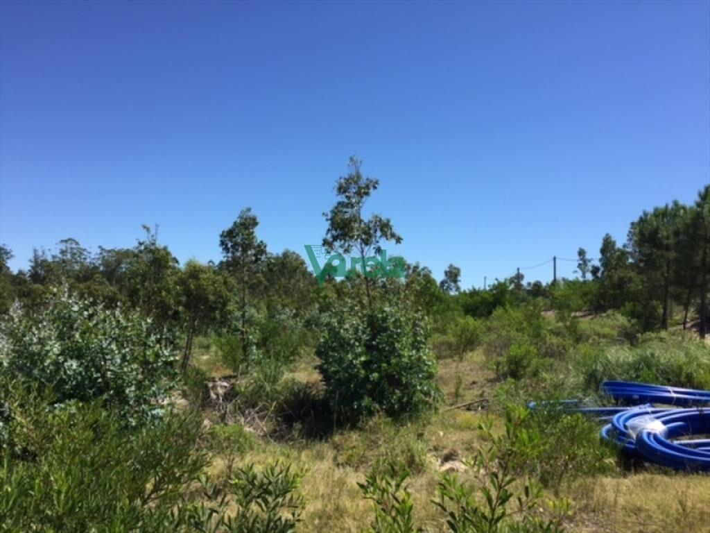 Terrenos financiados en Araminda norte (vista al