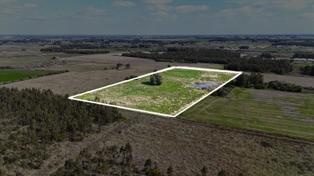 Vendo campo terreno 4,4 hectáreas c tajamar Sauce