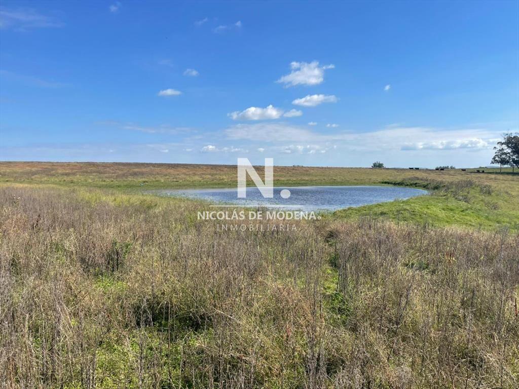 Campo en venta en hermosa zona