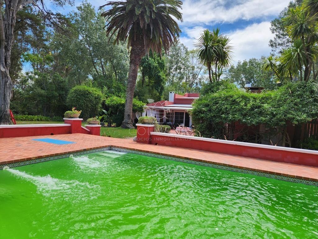 Venta chacra tipo quinta, Punta Ballena