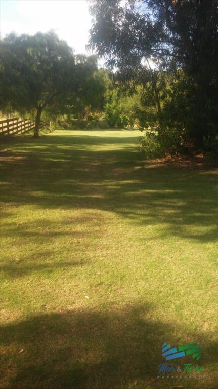 En venta chacra de 6 hectareas con casa a 1 hora