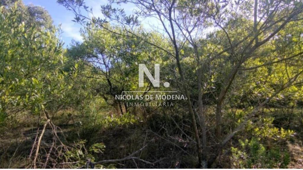 Vende terreno en Club del Lago Punta Ballena